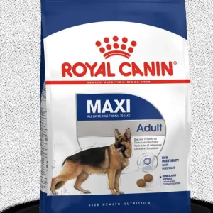 Snabb frakt Maxi Adult 4 kg Royal Canin